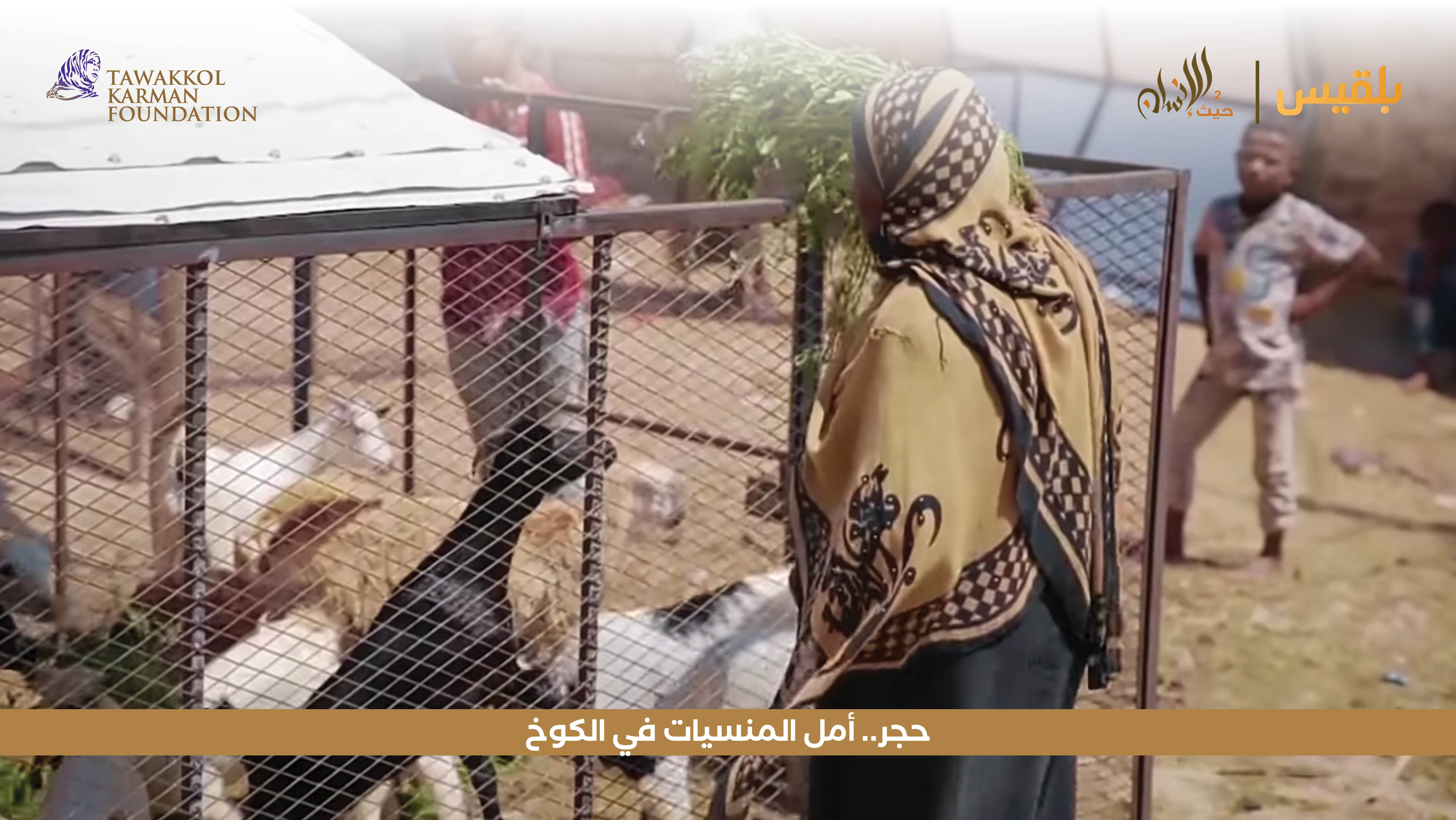 Haven For Humanity 37